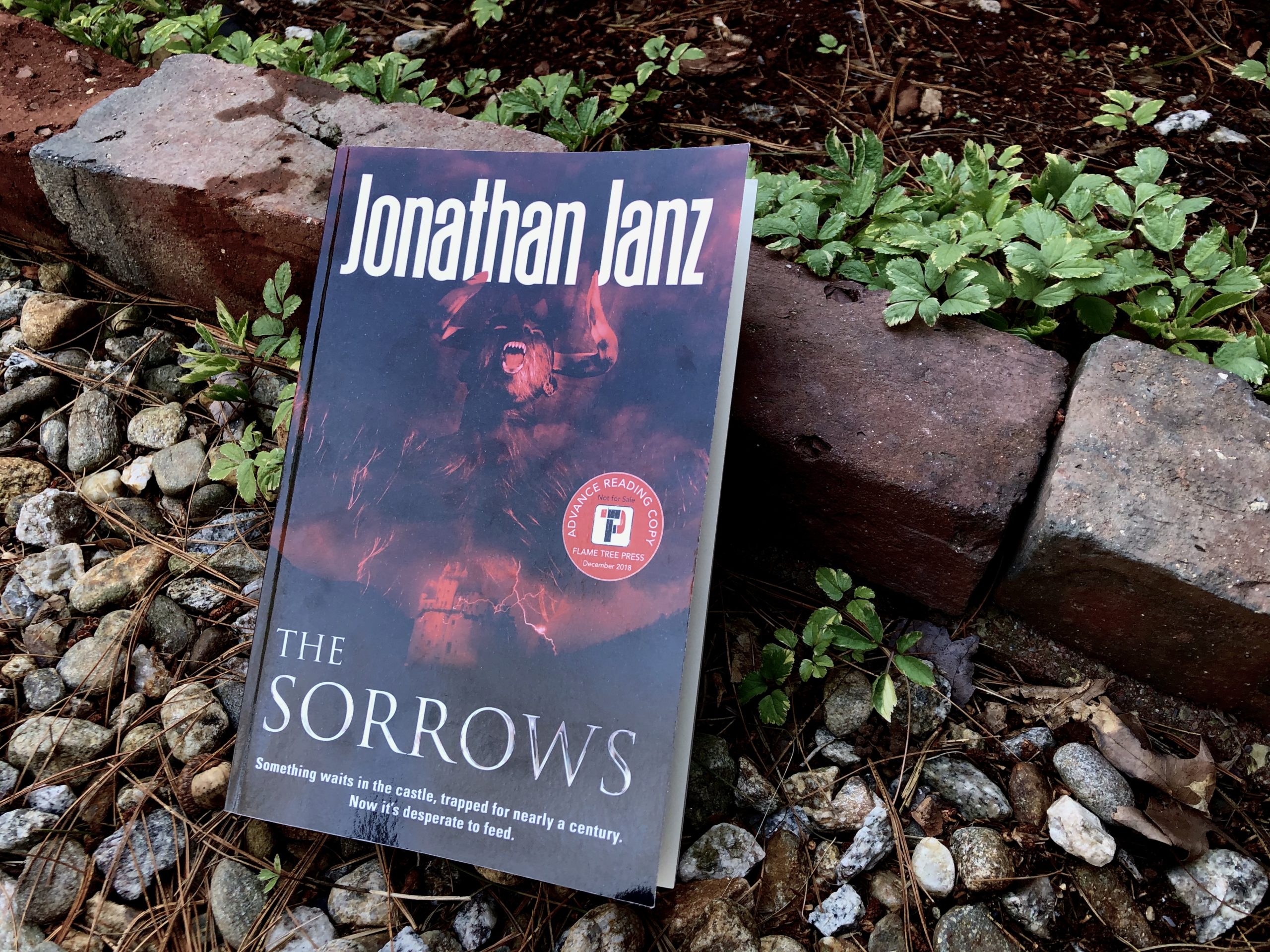 The Sorrows by Jonathan Janz Book Photo by Erica Robyn Reads