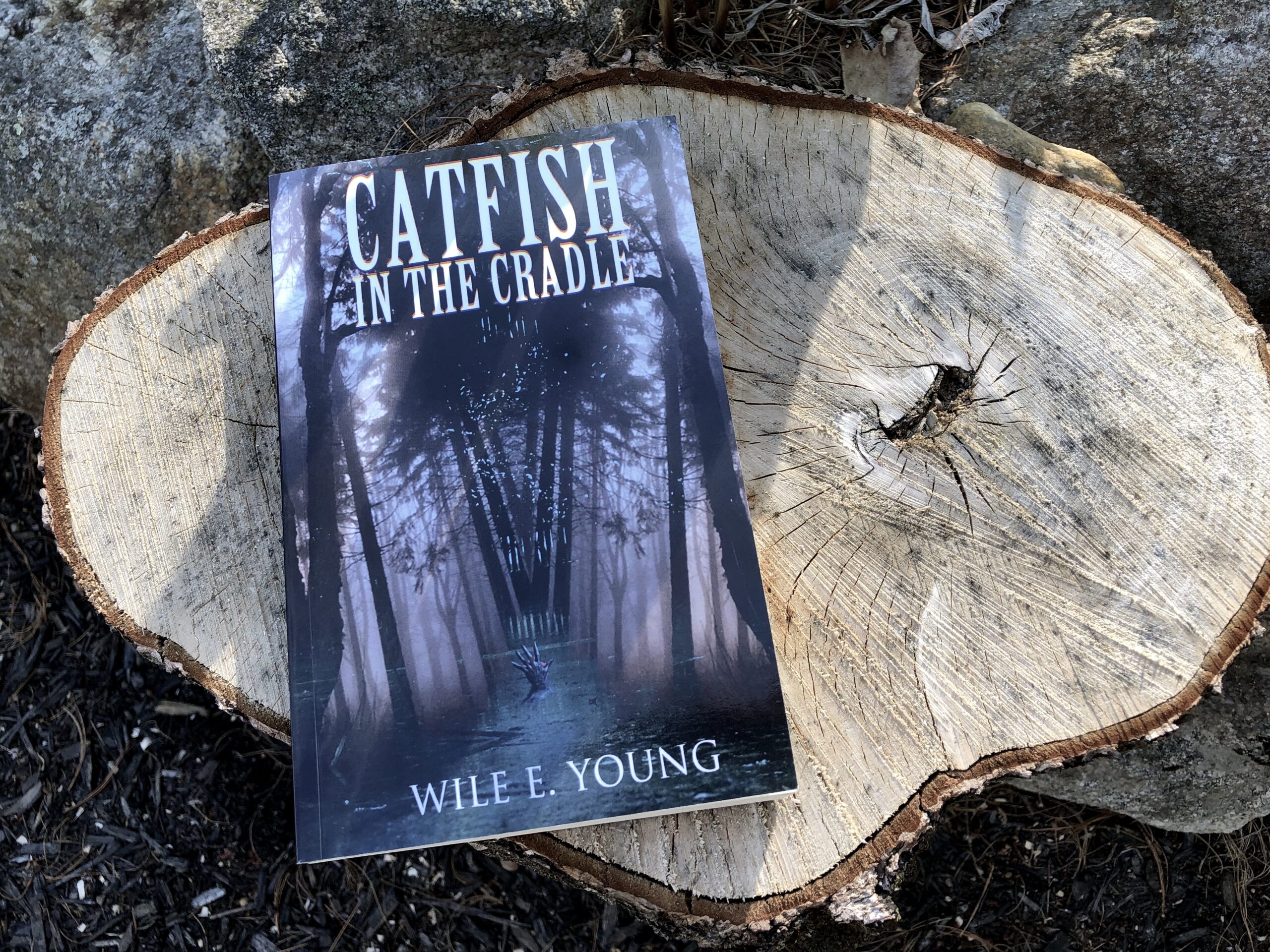 Catfish in the Cradle by Wile E. Young Book Photo by Erica Robyn Reads