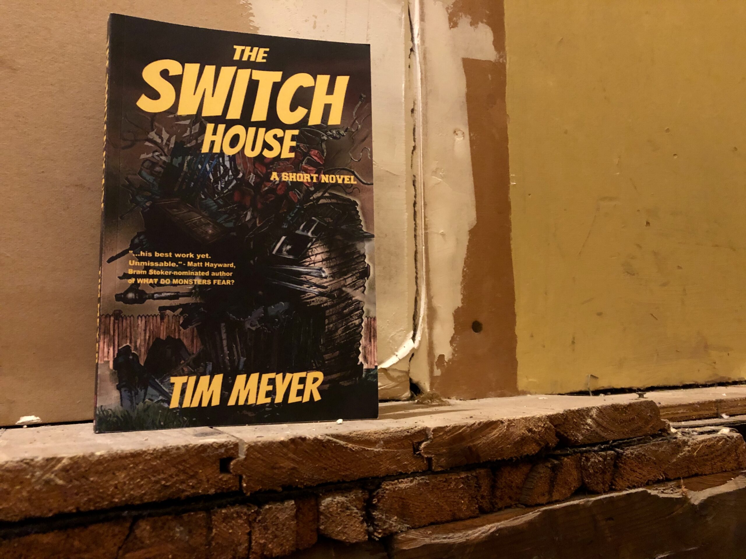 The Switch House by Tim Meyer book photo