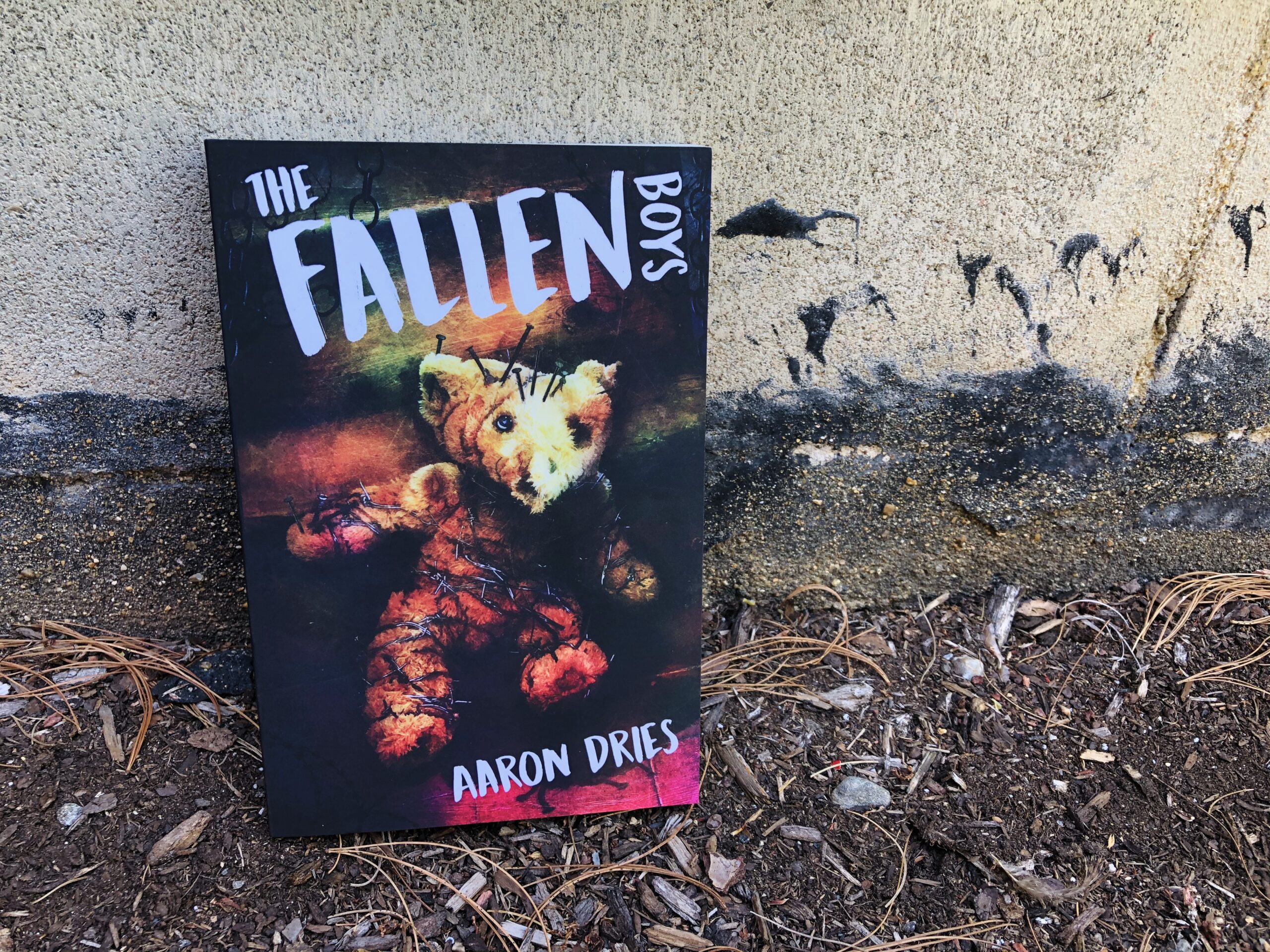 The Fallen Boys by Aaron Dries