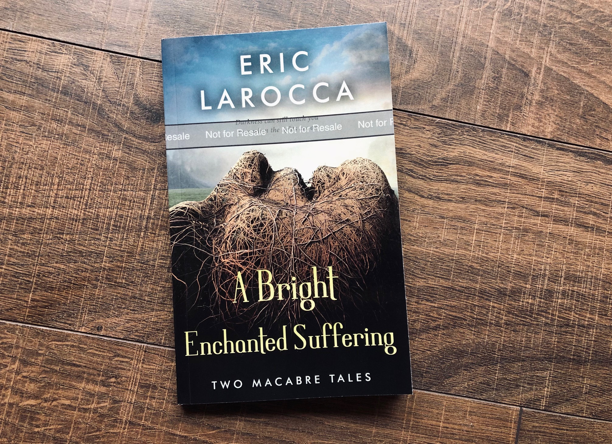 A Bright Enchanted Suffering by Eric LaRocca book photo by Erica Robyn Reads