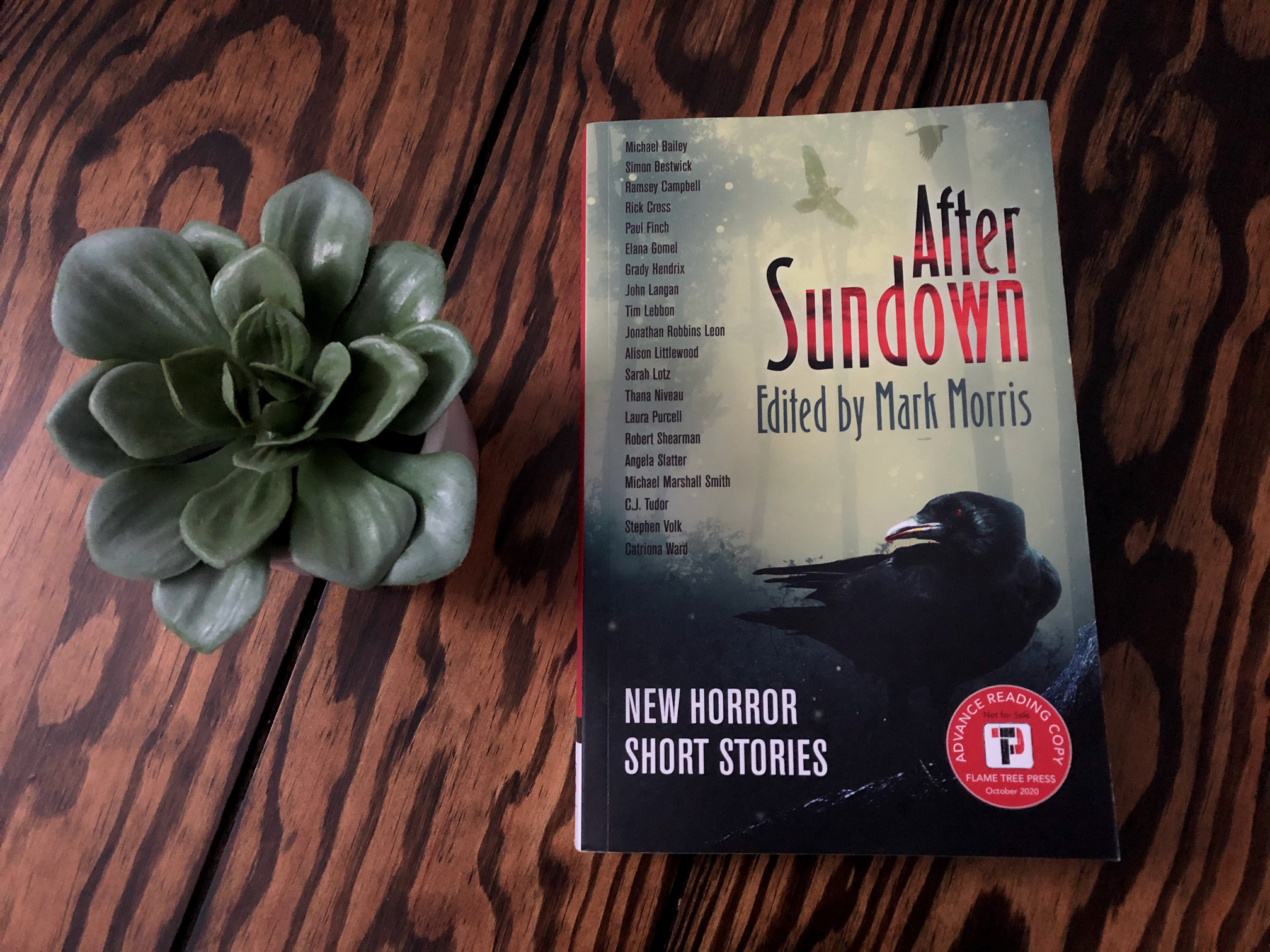 After Sundown Edited by Mark Morris book photo by Erica Robyn Reads