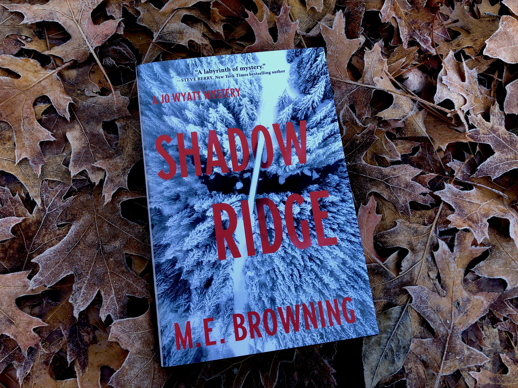 Shadow Ridge by M.E. Browning book photo by Erica Robyn Reads