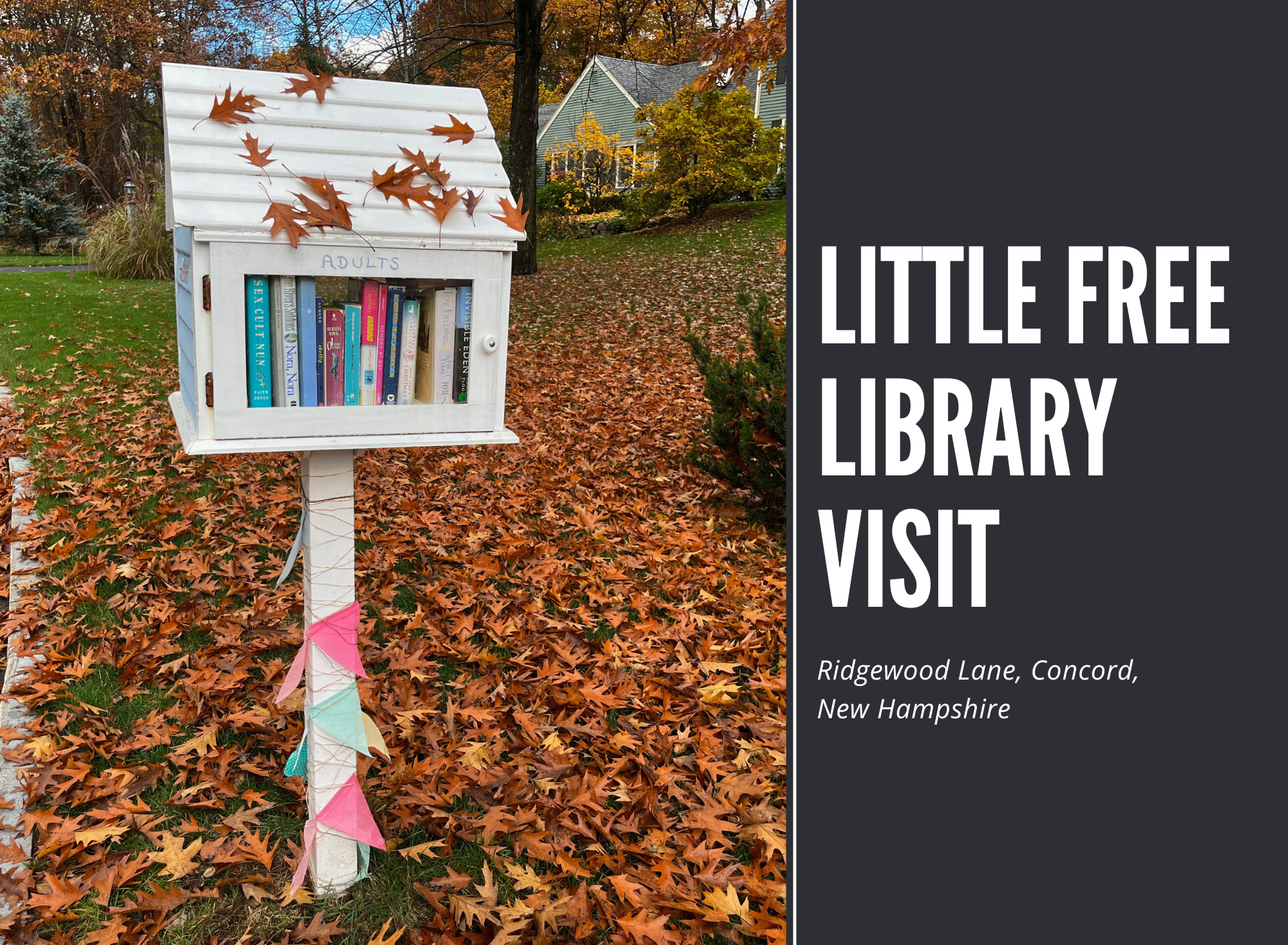 Feature] Little Free Library Visit - #21 - Erica Robyn Reads