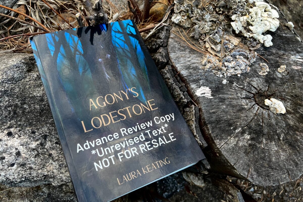 Agony's Lodestone by Laura Keating book photo by Erica Robyn Reads