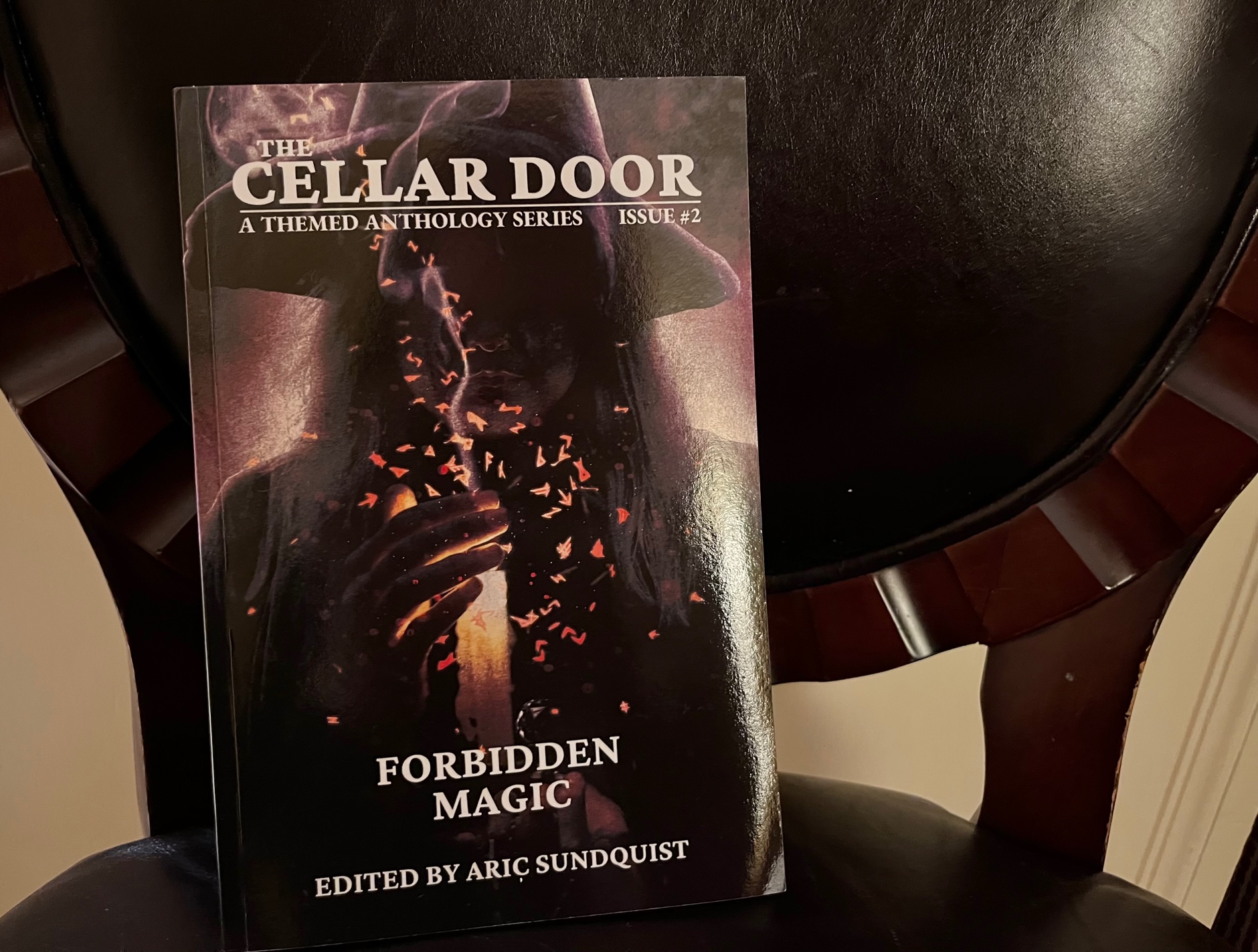 Forbidden Magic The Cellar Door Issue 2 Book Review Erica