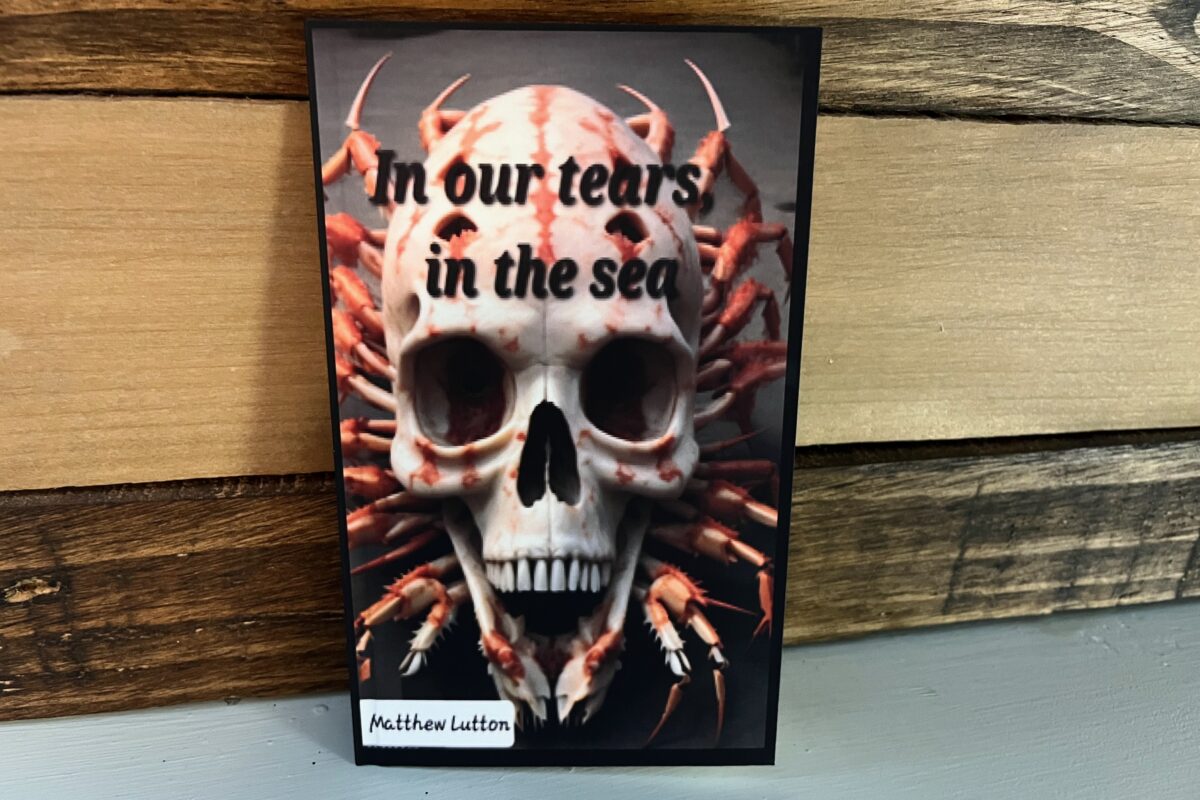 In Our Tears, In The Sea by Matthew Lutton book photo by Erica Robyn Reads